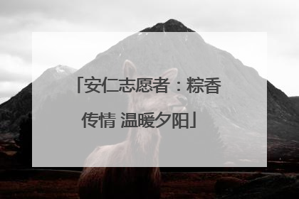 安仁志愿者：粽香传情 温暖夕阳