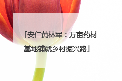 安仁黄林军：万亩药材基地铺就乡村振兴路