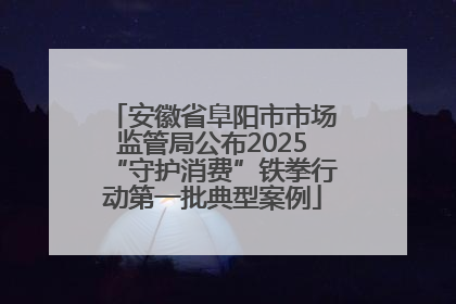 安徽省阜阳市市场监管局公布2025“守护消费”铁拳行动第一批典型案例