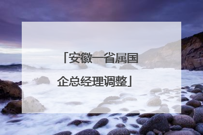 安徽一省属国企总经理调整
