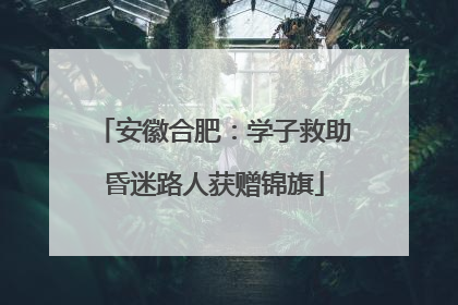 安徽合肥：学子救助昏迷路人获赠锦旗