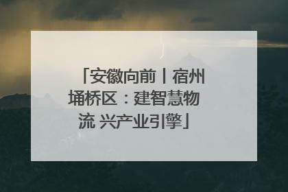 安徽向前丨宿州埇桥区：建智慧物流 兴产业引擎