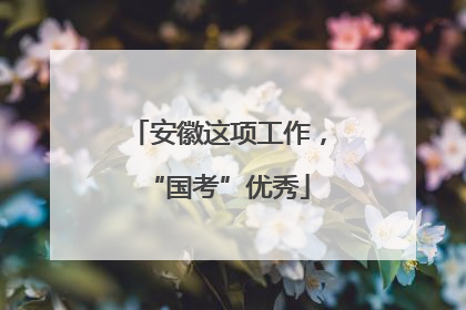 安徽这项工作，“国考”优秀