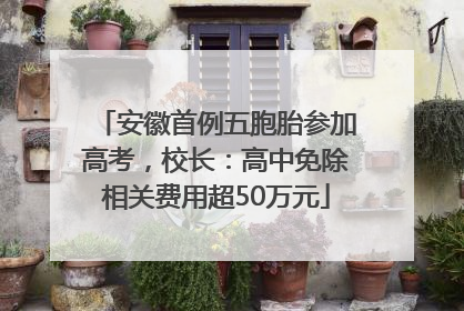 安徽首例五胞胎参加高考，校长：高中免除相关费用超50万元