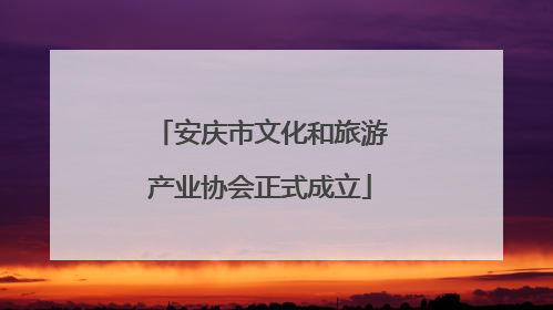 安庆市文化和旅游产业协会正式成立