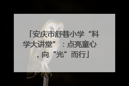 安庆市舒巷小学“科学大讲堂”：点亮童心，向“光”而行