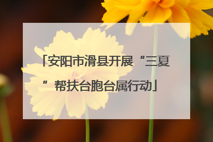 安阳市滑县开展“三夏”帮扶台胞台属行动
