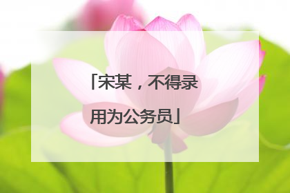 宋某，不得录用为公务员