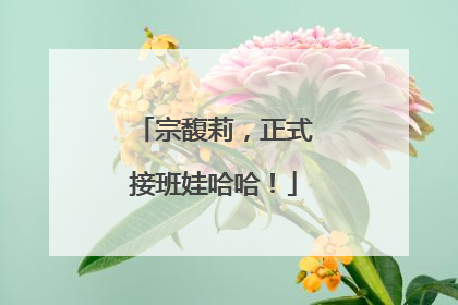 宗馥莉，正式接班娃哈哈！