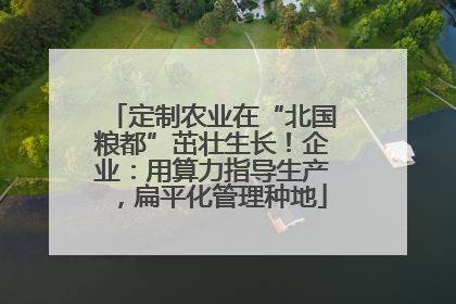 定制农业在“北国粮都”茁壮生长！企业：用算力指导生产，扁平化管理种地