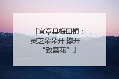 宜章县梅田镇：灵芝朵朵开 撑开“致富花”