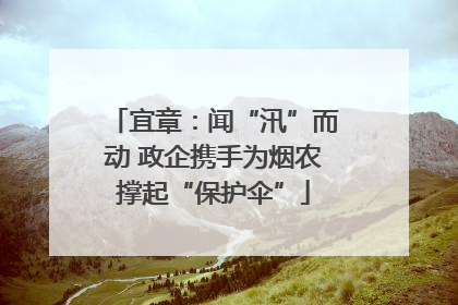 宜章：闻“汛”而动 政企携手为烟农撑起“保护伞”