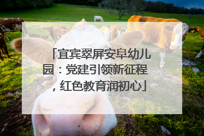 宜宾翠屏安阜幼儿园：党建引领新征程，红色教育润初心