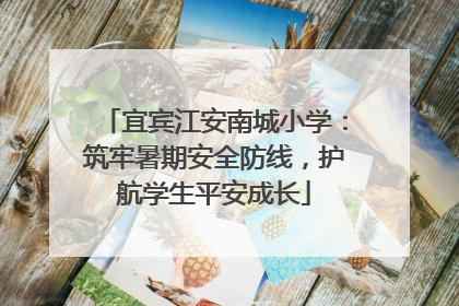 宜宾江安南城小学：筑牢暑期安全防线，护航学生平安成长
