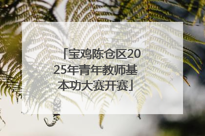 宝鸡陈仓区2025年青年教师基本功大赛开赛