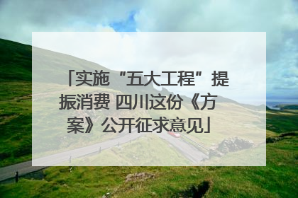实施“五大工程”提振消费 四川这份《方案》公开征求意见