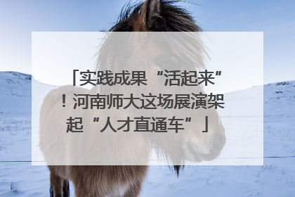 实践成果“活起来”！河南师大这场展演架起“人才直通车”