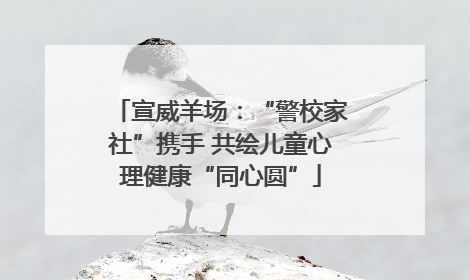 宣威羊场：“警校家社”携手 共绘儿童心理健康“同心圆”
