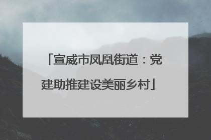 宣威市凤凰街道：党建助推建设美丽乡村