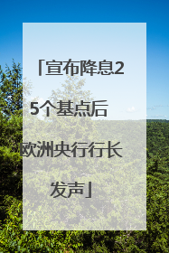 宣布降息25个基点后 欧洲央行行长发声