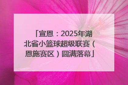 宣恩：2025年湖北省小篮球超级联赛（恩施赛区）圆满落幕
