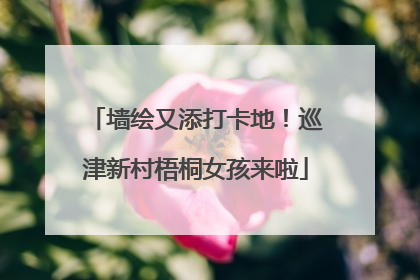 墙绘又添打卡地！巡津新村梧桐女孩来啦
