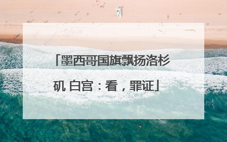 墨西哥国旗飘扬洛杉矶 白宫：看，罪证