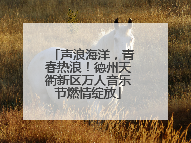 声浪海洋，青春热浪！德州天衢新区万人音乐节燃情绽放