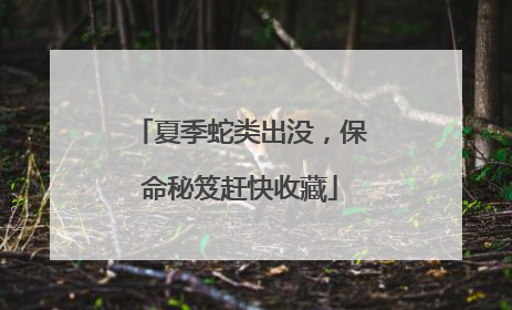 夏季蛇类出没，保命秘笈赶快收藏