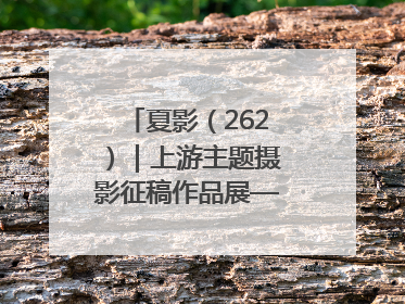 夏影（262）｜上游主题摄影征稿作品展——黄红专作品