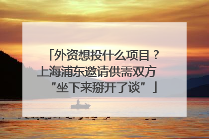 外资想投什么项目？上海浦东邀请供需双方“坐下来掰开了谈”