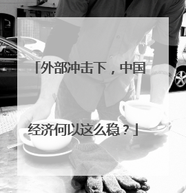 外部冲击下，中国经济何以这么稳？