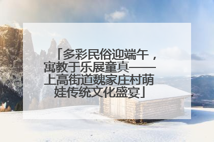 多彩民俗迎端午，寓教于乐展童真——上高街道魏家庄村萌娃传统文化盛宴