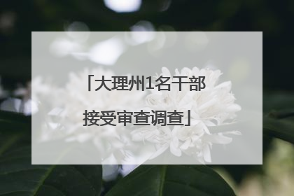 大理州1名干部接受审查调查