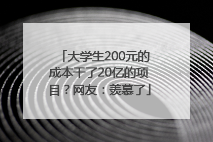 大学生200元的成本干了20亿的项目？网友：羡慕了