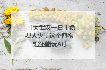 大武汉一日丨免费人少，这个博物馆还能玩AI