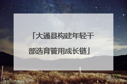 大通县构建年轻干部选育管用成长链