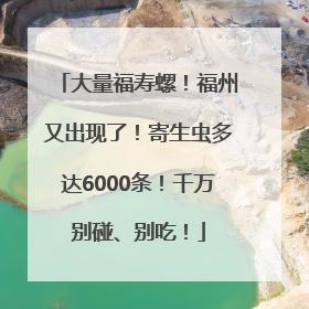 大量福寿螺！福州又出现了！寄生虫多达6000条！千万别碰、别吃！