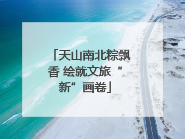 天山南北粽飘香 绘就文旅“新”画卷