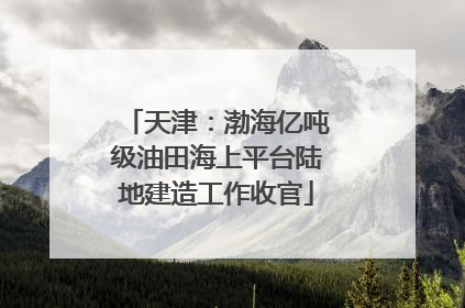 天津：渤海亿吨级油田海上平台陆地建造工作收官