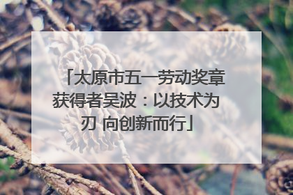 太原市五一劳动奖章获得者吴波：以技术为刃 向创新而行