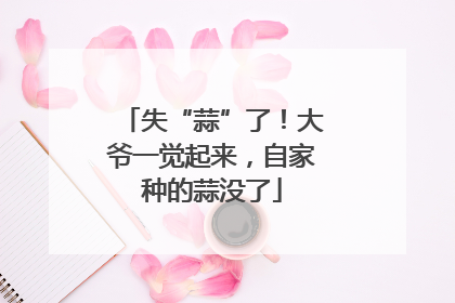 失“蒜”了！大爷一觉起来，自家种的蒜没了