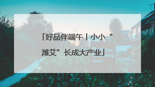 好品伴端午丨小小“潍艾”长成大产业