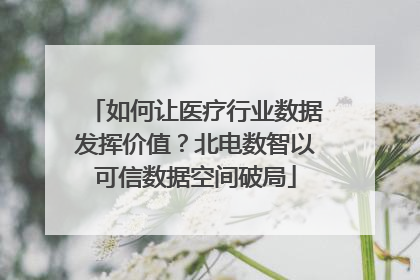 如何让医疗行业数据发挥价值？北电数智以可信数据空间破局