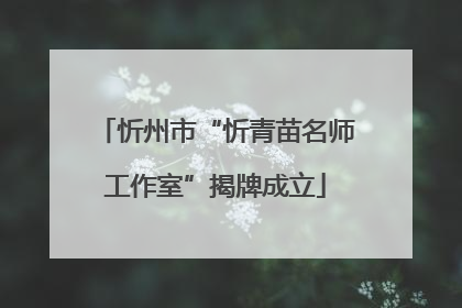 忻州市“忻青苗名师工作室”揭牌成立