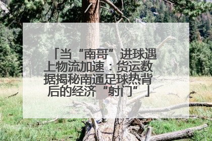 当“南哥”进球遇上物流加速：货运数据揭秘南通足球热背后的经济“射门”