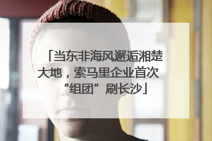 当东非海风邂逅湘楚大地，索马里企业首次“组团”刷长沙
