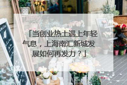 当创业热土遇上年轻气息，上海南汇新城发展如何再发力？