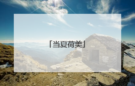 当夏荷美
