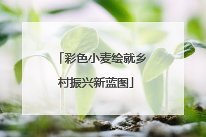 彩色小麦绘就乡村振兴新蓝图